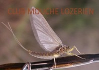 http://cml48.xooit.fr/portal.php