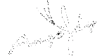 http://www.angefly.com/